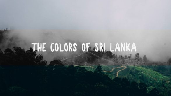 sri lanka travel videography